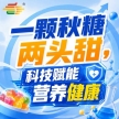 秋聚金陵城，第115届秋季糖酒会，食饮新渠道，*拓展