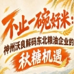 东北粮企扬帆出海 神州沃良解码南京秋糖全国市场机遇